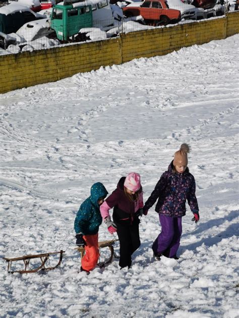 Prikaz tradicionalnega kmečkega opravila kolin na prostem v zimskem času