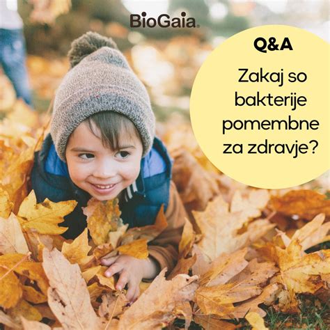 shema različnih vrst mlečnokislinskih bakterij in njihovo optimalno temperaturno območje