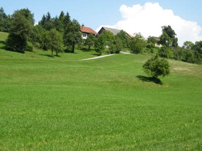 Poškodovane kmetijske površine po toči