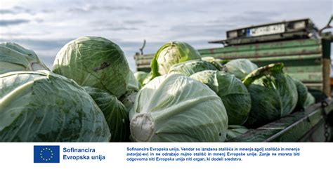 infografika: prednosti lokalno pridelane zelenjave (krajša pot od njive do krožnika, več vitaminov, brez dolgotrajnega skladiščenja)