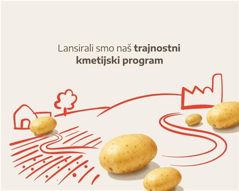 Infografika: Faze dodajanja začimb pri peki krompirja