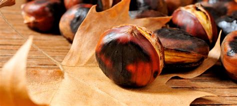 slika pečenih bučkinih kroglic