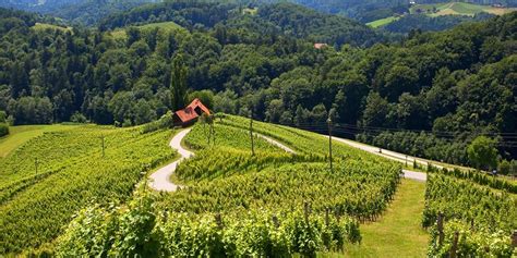 pogled na razgledno ploščad in srčkasto cesto med vinogradi