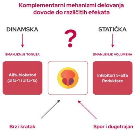 diagram delovanja magnetne terapije na celice