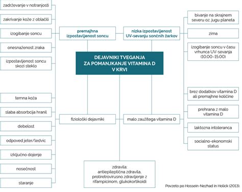 Shema delovanja vitamina K na kosti in strjevanje krvi