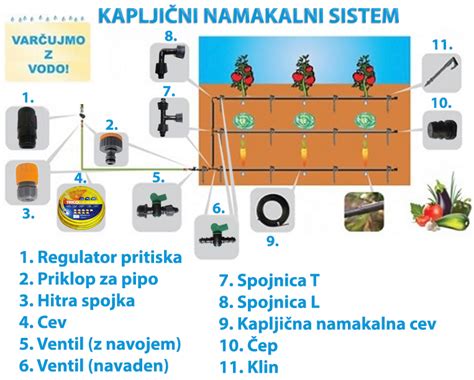 Sistem kapljičnega namakanja za paradižnik