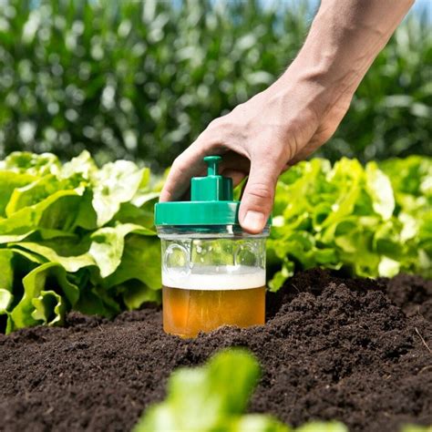 Fotografija pasti za polže z jogurtovimi lončki in pivom