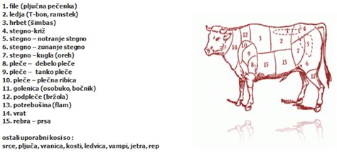 Shematski prikaz različnih kosov govejega mesa.