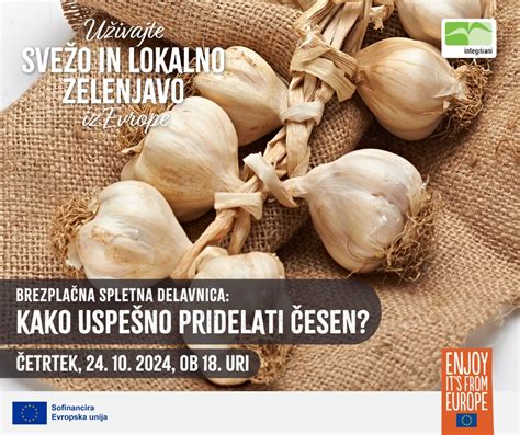 Infografika z različnimi vrstami zelenjave, ki se prilegajo solati