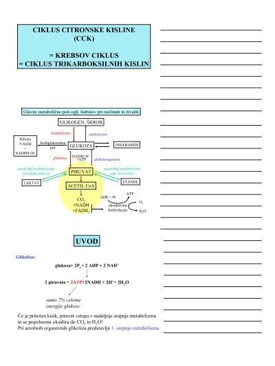 Infografika o proizvodnem procesu citronske kisline iz sladkorja z mikrobno fermentacijo