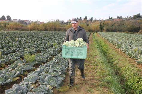 Postopek praženja zelenjave v voku za doseganje hrustljave teksture