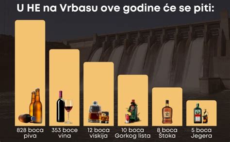 Infografika: Pari piva z različnimi tipi živil