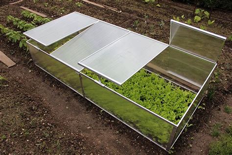 Infografika z različnimi metodami shranjevanja zelenjave: zasipnice, pesek v kleti, tople grede.