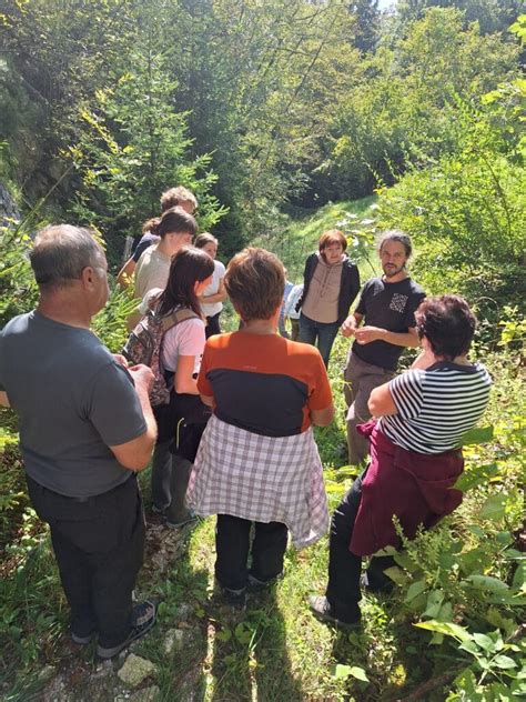 Nabiranje zrelih robid v naravi