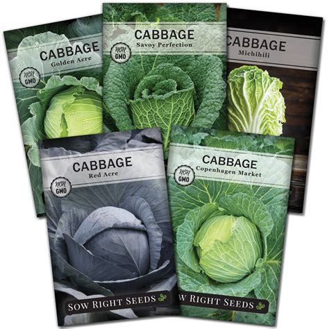 Photo of various seed packets of cabbage varieties