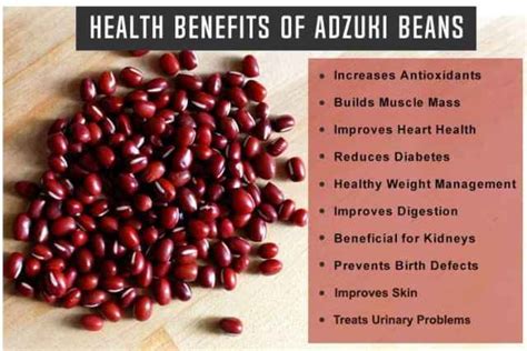 Infographics on the nutritional benefits of Adzuki beans