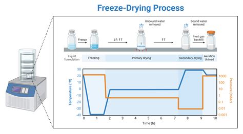 Infographic explaining the process of freeze-drying (liofilizacija)