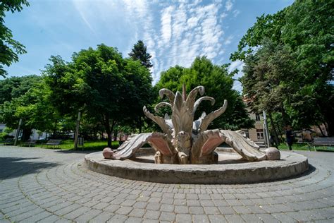 Fotografija tatarske ajde (zrno in cvet)