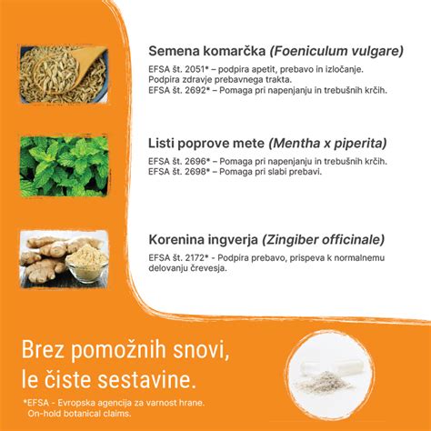 Infografika, ki prikazuje koristi kruha iz droži za prebavo