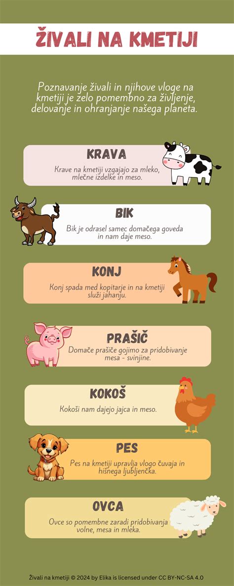 Infografika z primeri živali (mačka, prašič, hrošč) iz geometrijskih likov