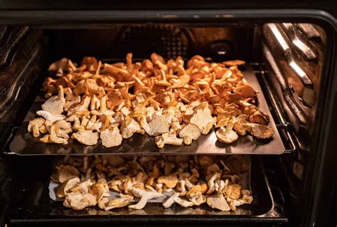The image should be an infographic or diagram showing the process of drying mushrooms using various methods (oven, dehydrator, air drying).