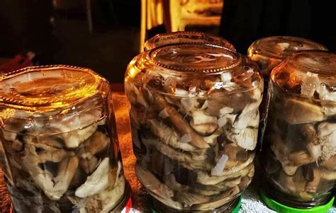 The image should show jars of mushrooms preserved in oil, possibly with some fresh herbs visible in the oil.