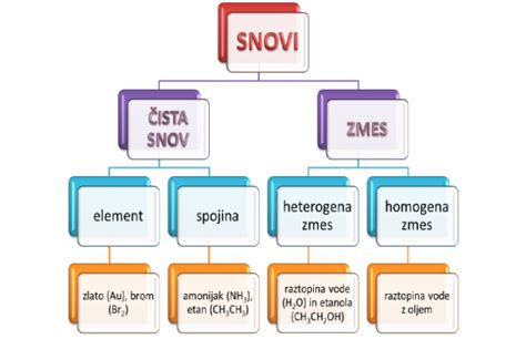 Shematski prikaz vpliva hranilnih snovi iz polnozrnatega riža na delovanje možganov in prebavnega sistema.