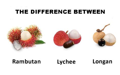 Različni eksotični sadeži: liči, rambutan in longan