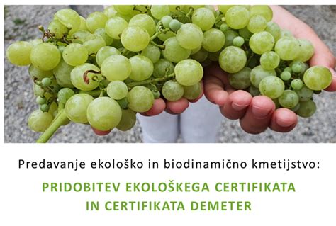 simbol ekološkega certifikata