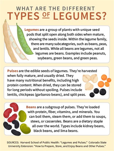 Infographics on the benefits of legumes