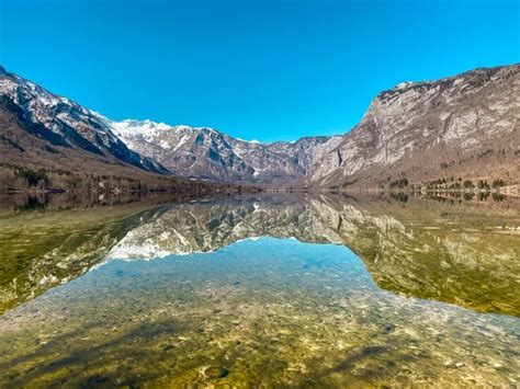 Fotografija bohinjskega sira v zorenju