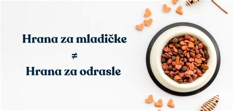 Shema: Razlika med hrano, ki spodbuja vnetje, in protivnetno prehrano (polnovredna rastlinska živila).