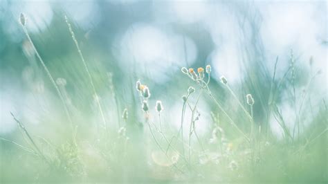 Tematska fotografija: ženska pregleduje izpadle lase, ozadje je prehrana