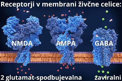 ilustracija opioidnih receptorjev v možganih