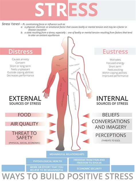 Infographic showing the physiological effects of stress on the human body