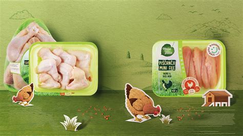 Ilustracija svežega piščančjega mesa