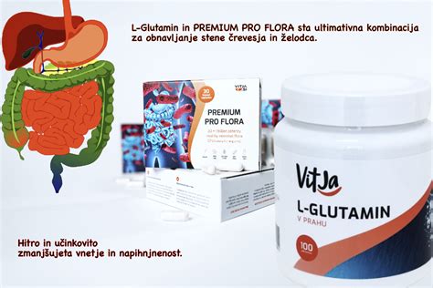 Infografika o primerjavi prebavnega trakta mesojedcev in ljudi, ki poudarja primernost rastlinske prehrane.