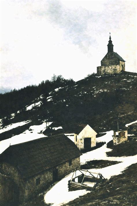 Tematska fotografija vrta z visokim fižolom, ki se vzpenja po oporah