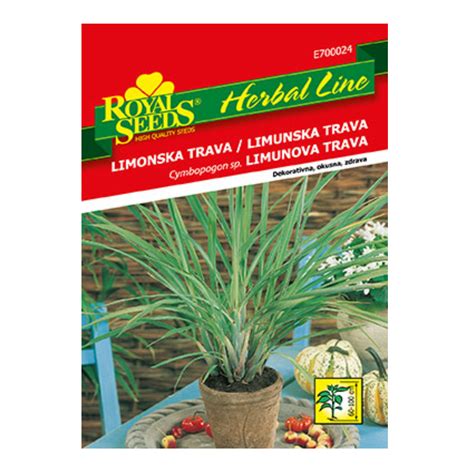 Infografika: Osnovne začimbe za tajsko juho (limonska trava, galangal, kaffir limeta, čili)