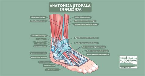 infografika: anatomija stopala in mesta, kjer se najpogosteje pojavljajo glivice