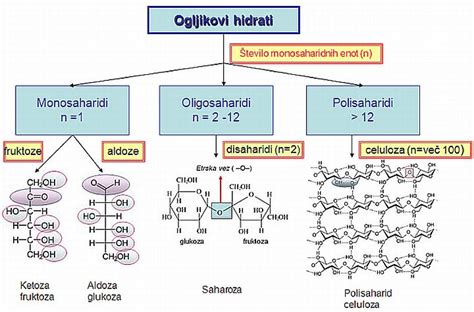 Shema, ki prikazuje pretvorbo ogljikovih hidratov v glukozo in maščob v ketone