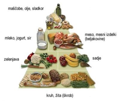 Shema, ki prikazuje razmerje hranil v lečinih polpetih (beljakovine, vlaknine, vitamini).