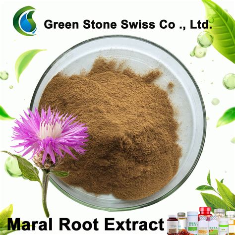 Rastlina Rhaponticum carthamoides (Maral root)