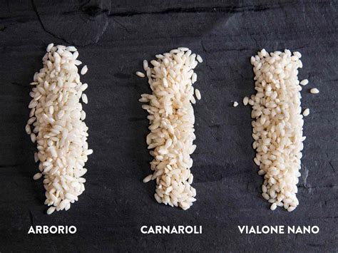 Infografika ali shema različnih vrst riža primernih za rižoto (arborio, carnaroli, vialone nano)
