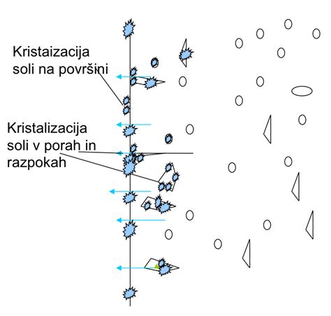 shema kristalizacije sečne kisline v sklepu in nastanek vnetja