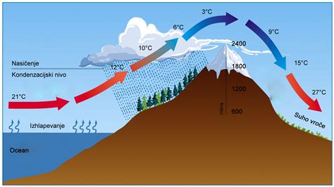 Shema, ki prikazuje vpliv temperature na razslojevanje testa