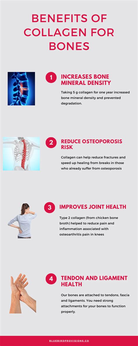 Infographics showing the benefits of collagen for joints and bones