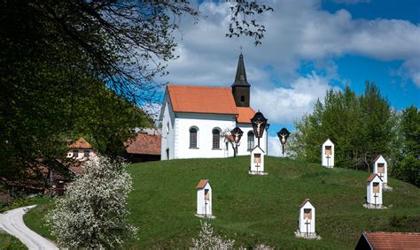 Fotografija vinogradov na Dolenjskem z zidanicami