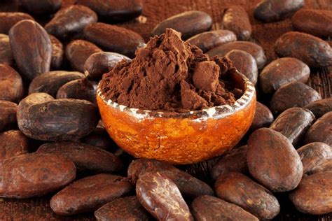 Primerjava vsebnosti kakava v različnih vrstah čokolade (infografika)