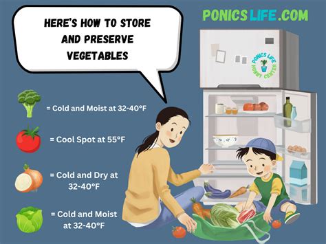 Infographics: Methods for storing winter vegetables